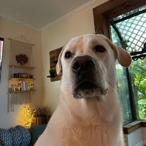 Meet your Posher, Kevin